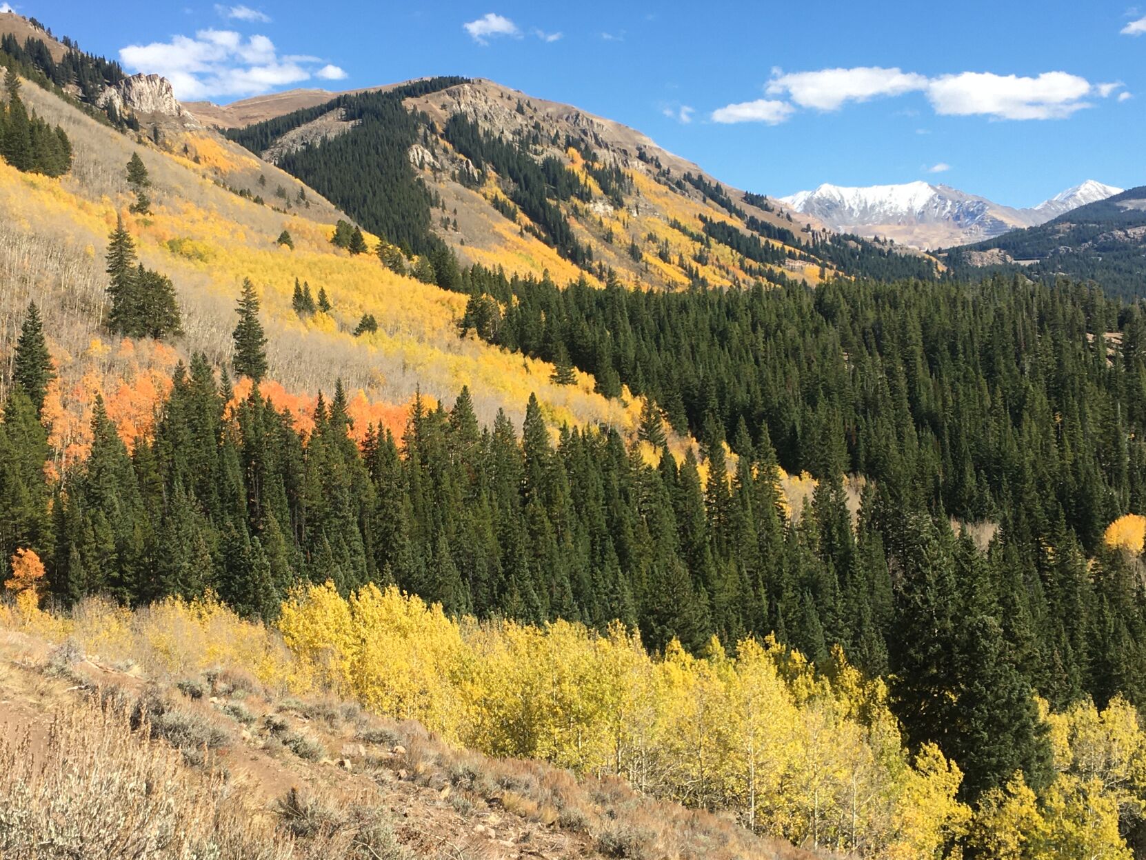 fall colors on lower parts of route 6.JPG